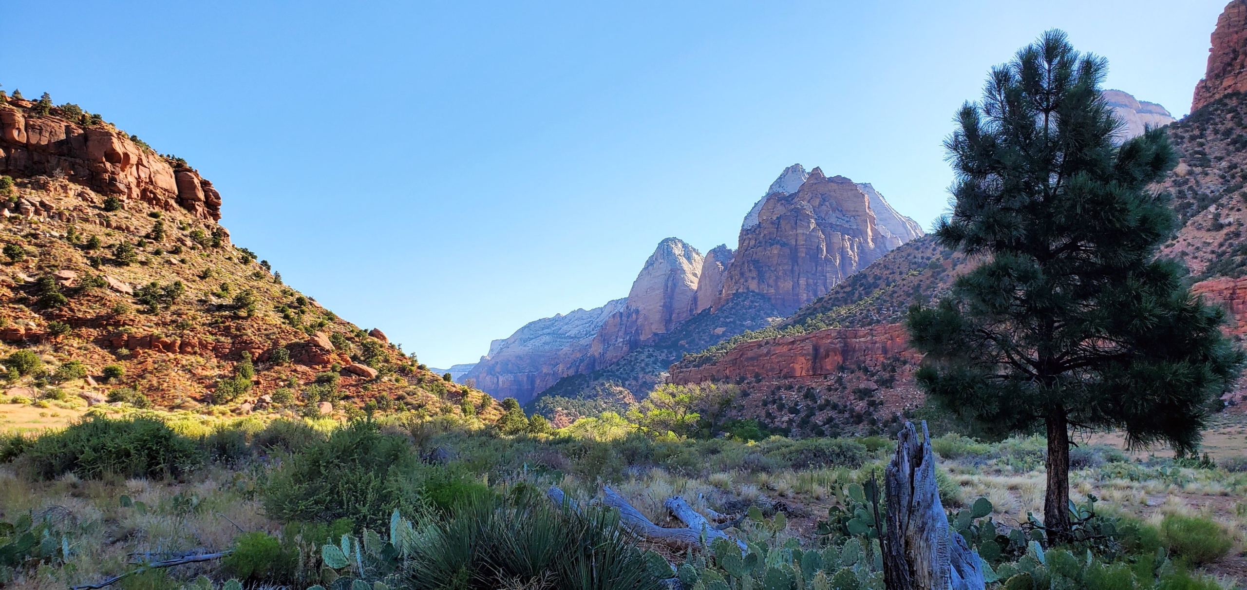 Zion Nat'l Park