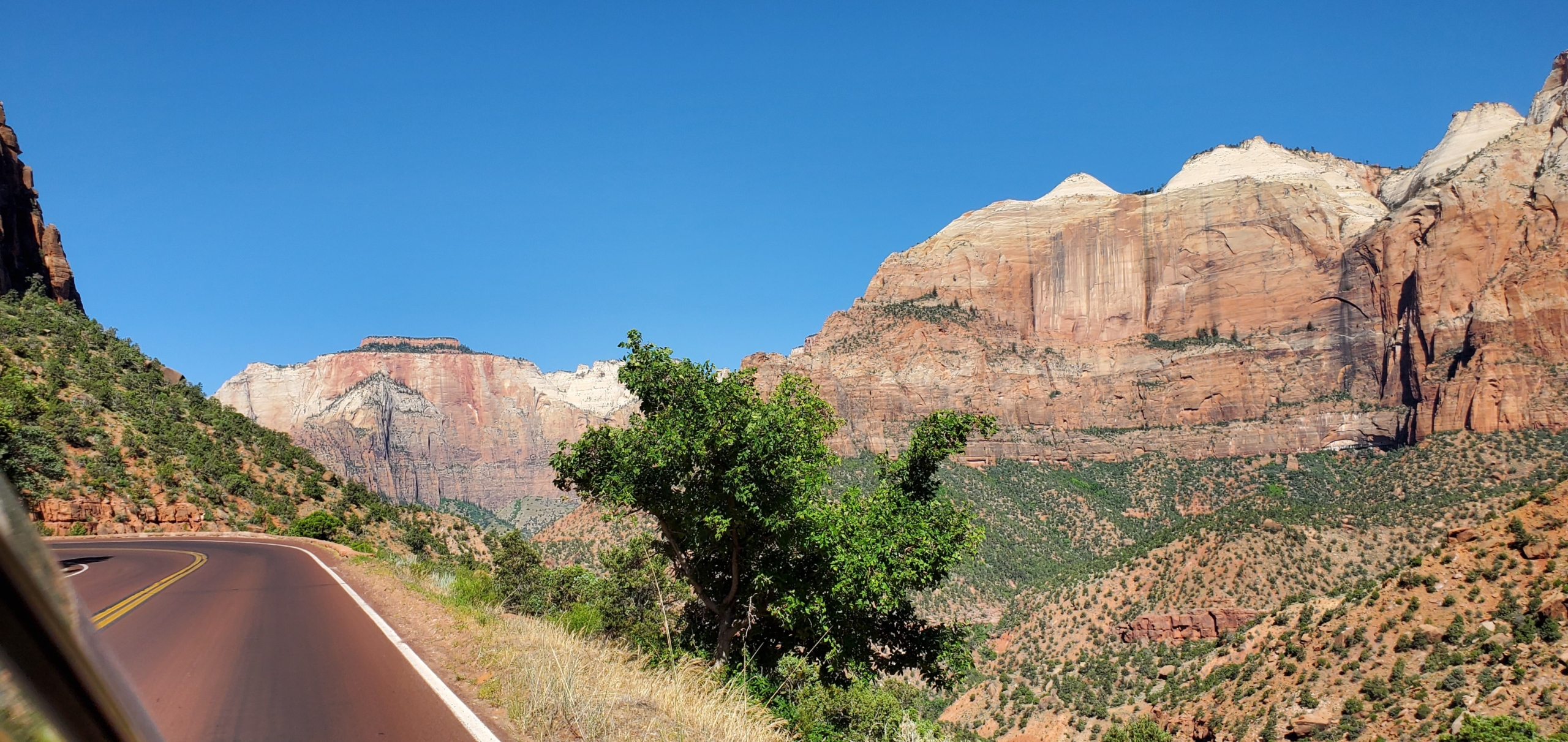 Zion Nat'l Park