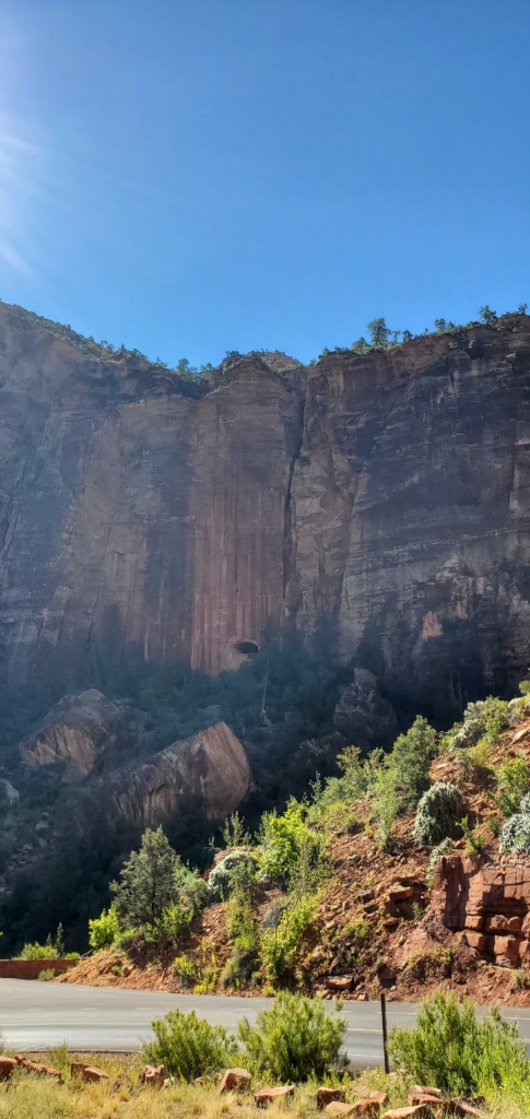 Zion Nat'l Park