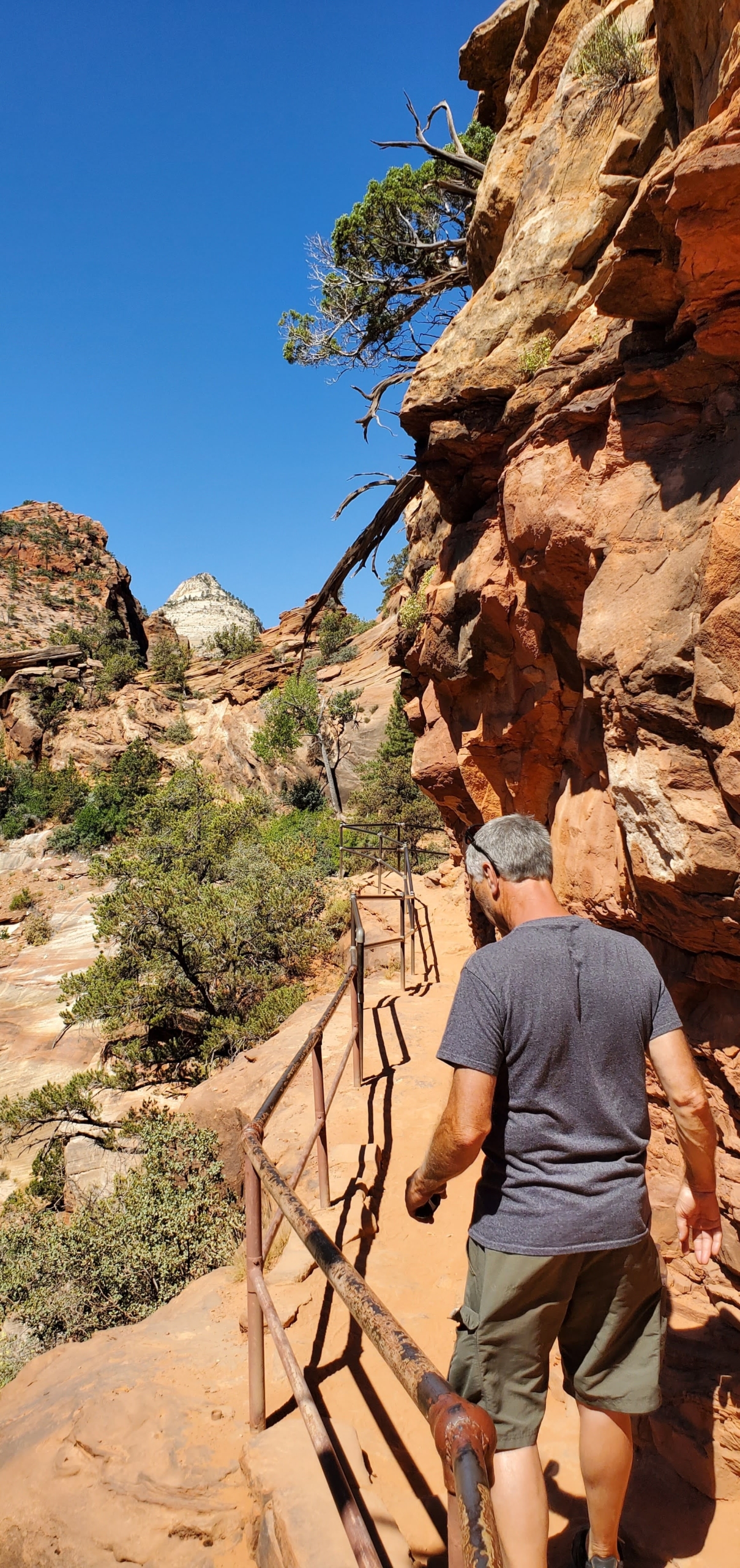 Scenic Canyon Overlook Trail in Zion