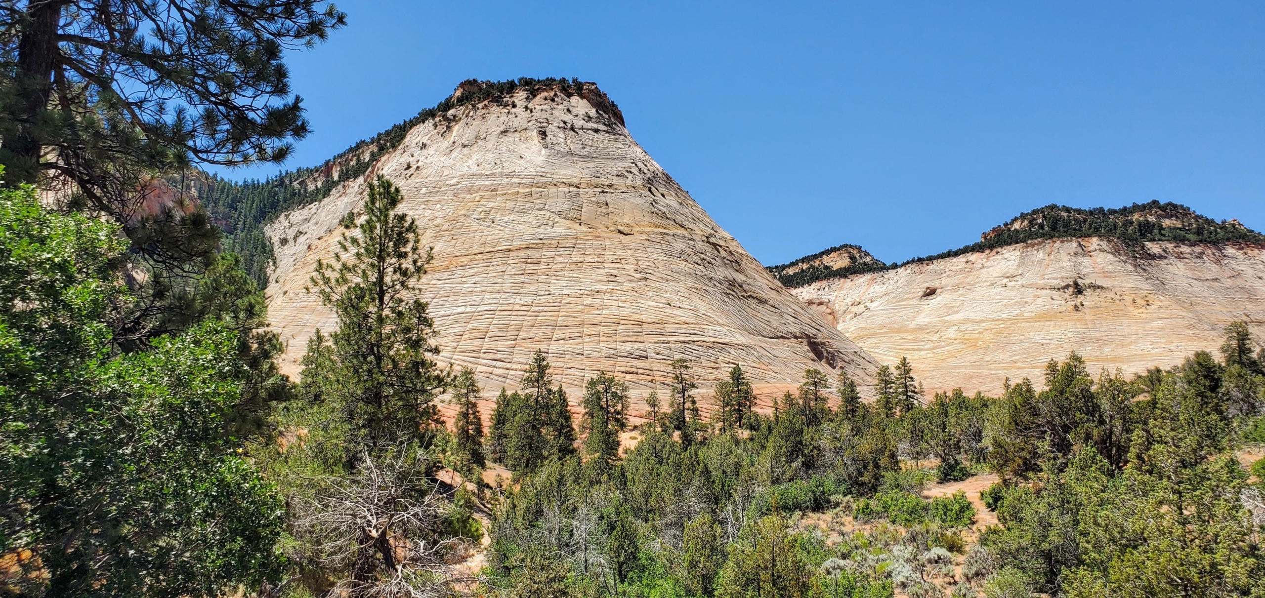 Road trip to the Checkerboard Mesa in Zion National Park