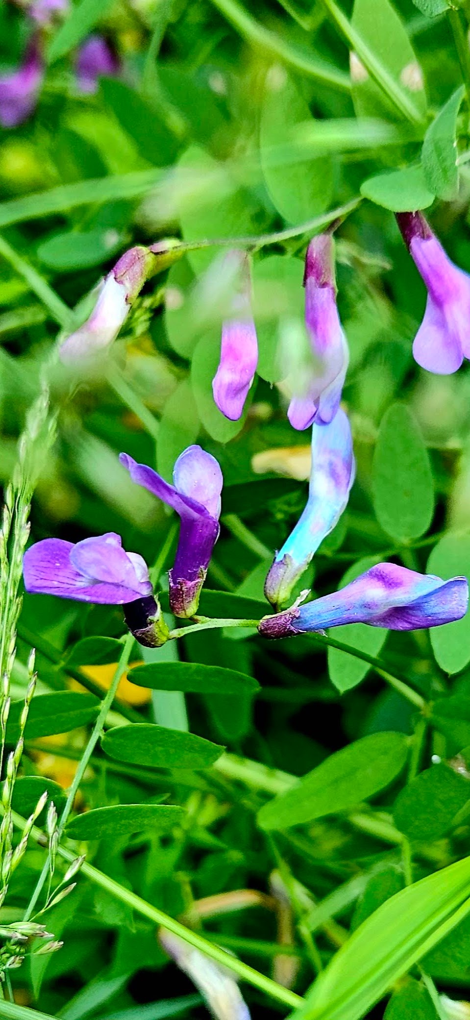 Treasures on Minnesota's North Shore