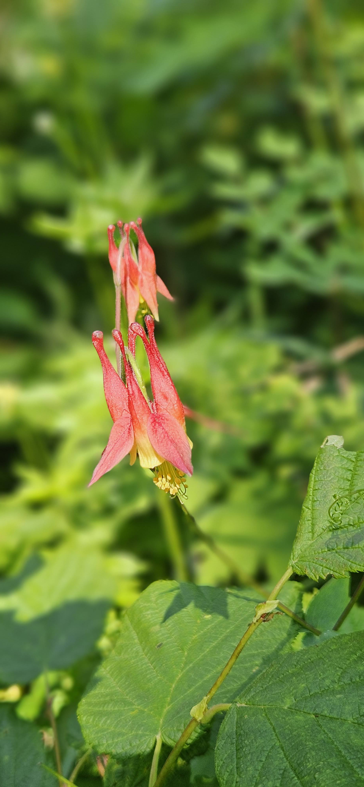 Treasures on Minnesota's North Shore