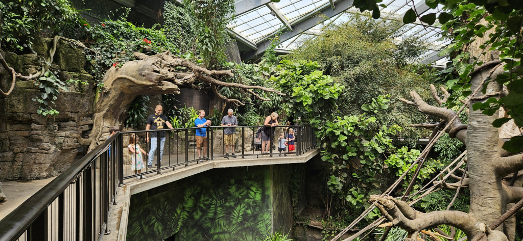 Lied Jungle at Omaha Henry Doorly Zoo