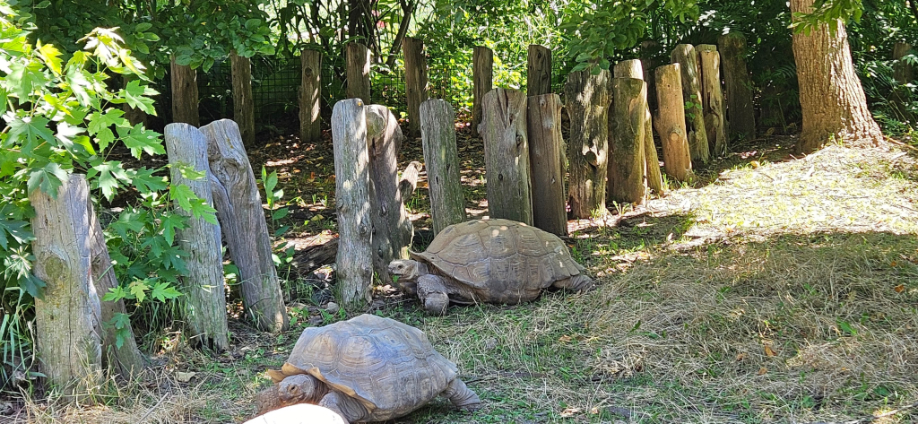Henry Doorly Zoo