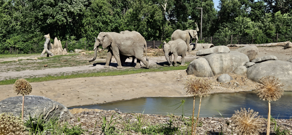 Henry Doorly Zoo